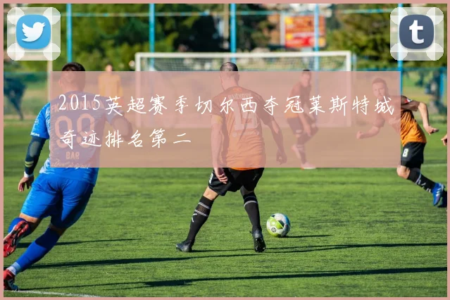 2015英超赛季切尔西夺冠莱斯特城奇迹排名第二