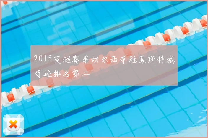 2015英超赛季切尔西夺冠莱斯特城奇迹排名第二